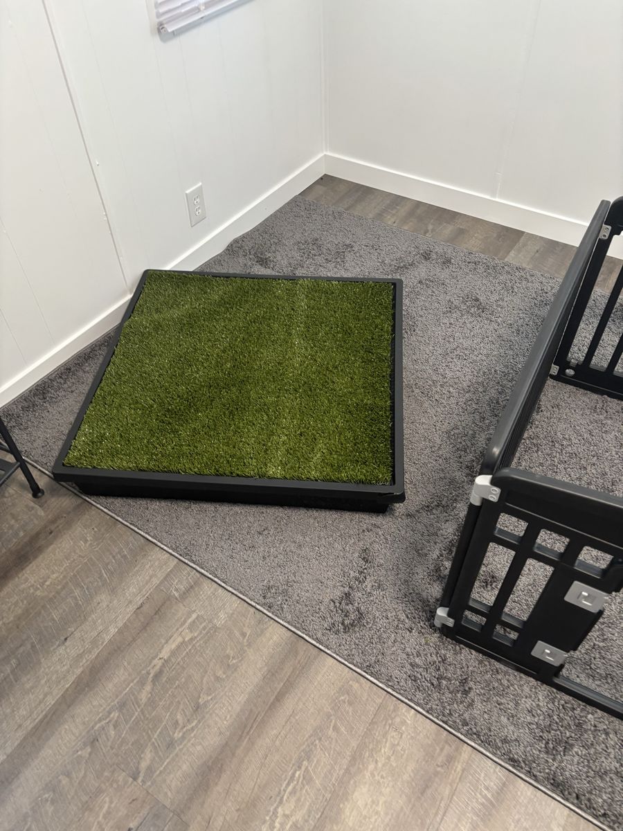 Indoor dog potty and small enclosure