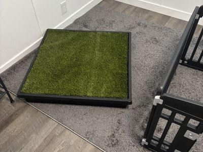 Indoor dog potty and small enclosure