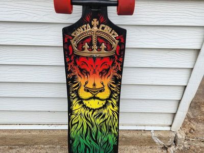 longboard, Santa Cruz Lion, excel cond