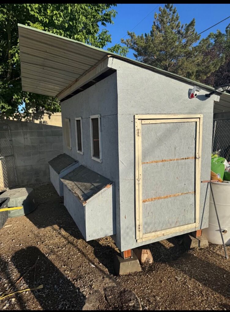 Large Chicken Coop