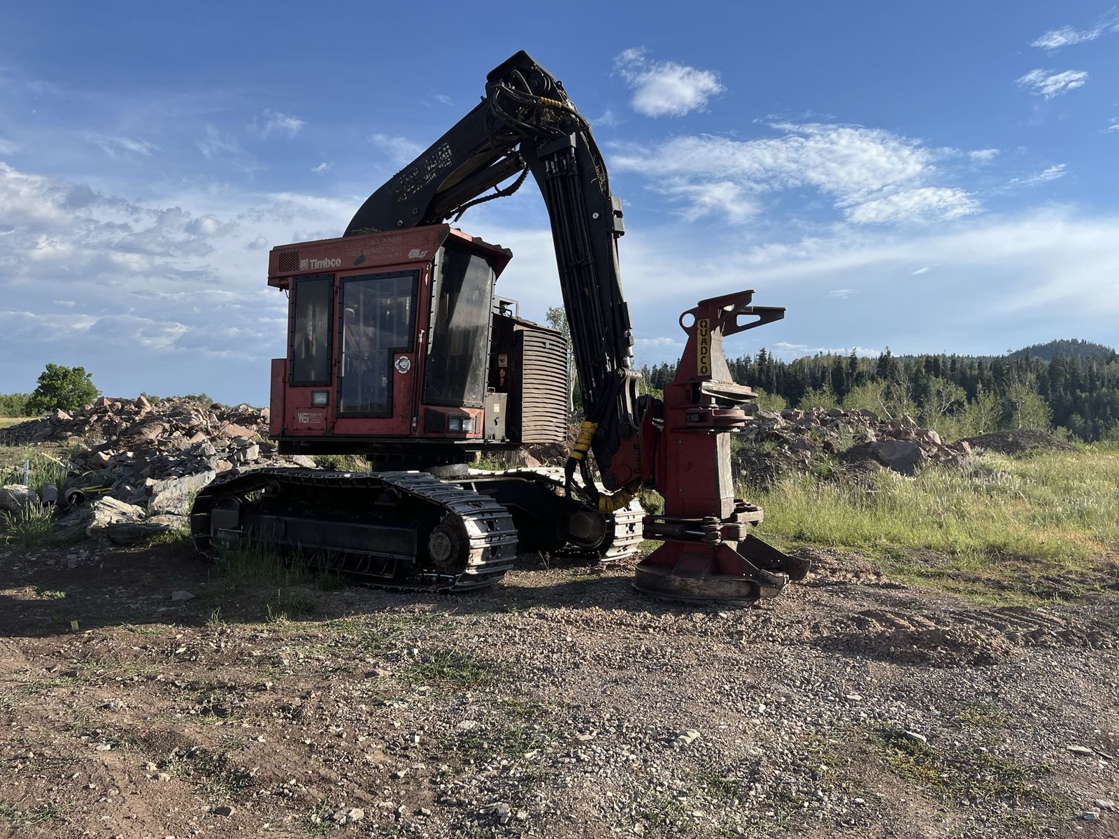 Feller buncher