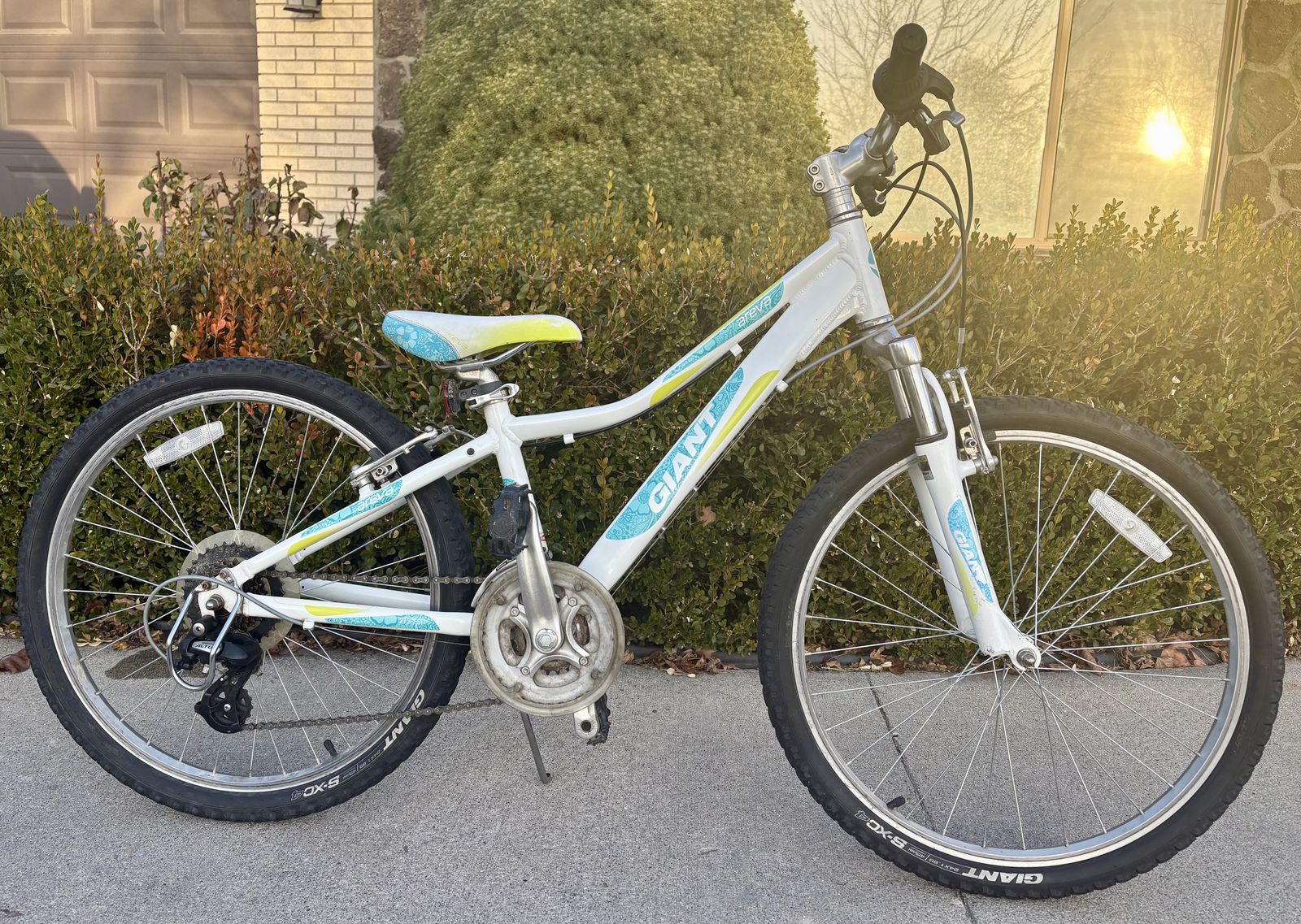 24 Inch Giant 21 Speed Bike