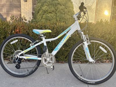 24 Inch Giant 21 Speed Bike