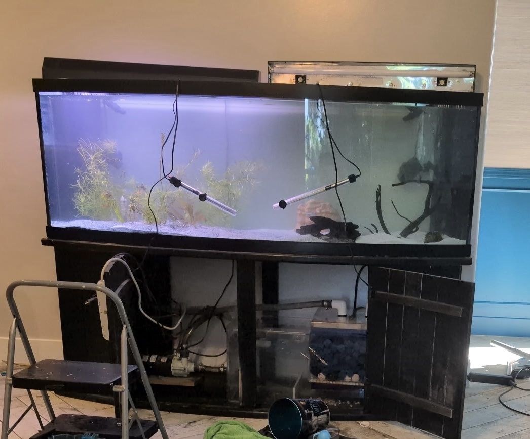 200 Gallon Aquarium Fish Tank with Black Wooden Stand & Accessories