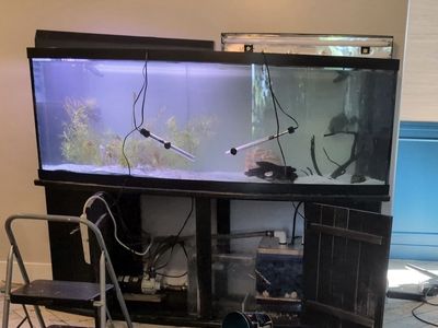 200 Gallon Aquarium Fish Tank with Black Wooden Stand & Accessories