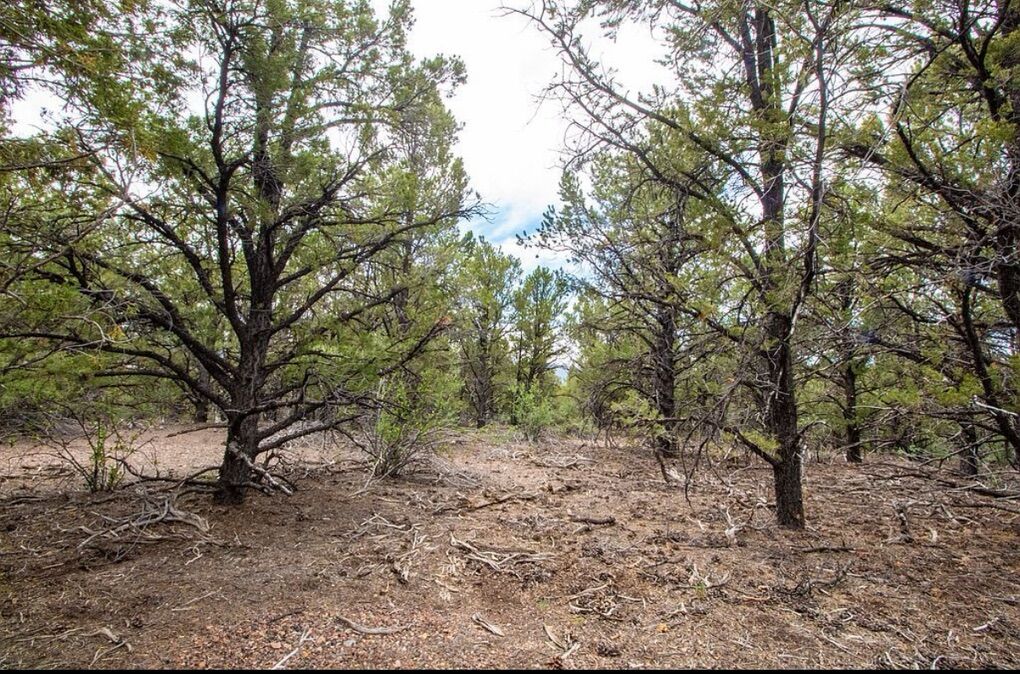 10-Acre Parcel in Southern Utah