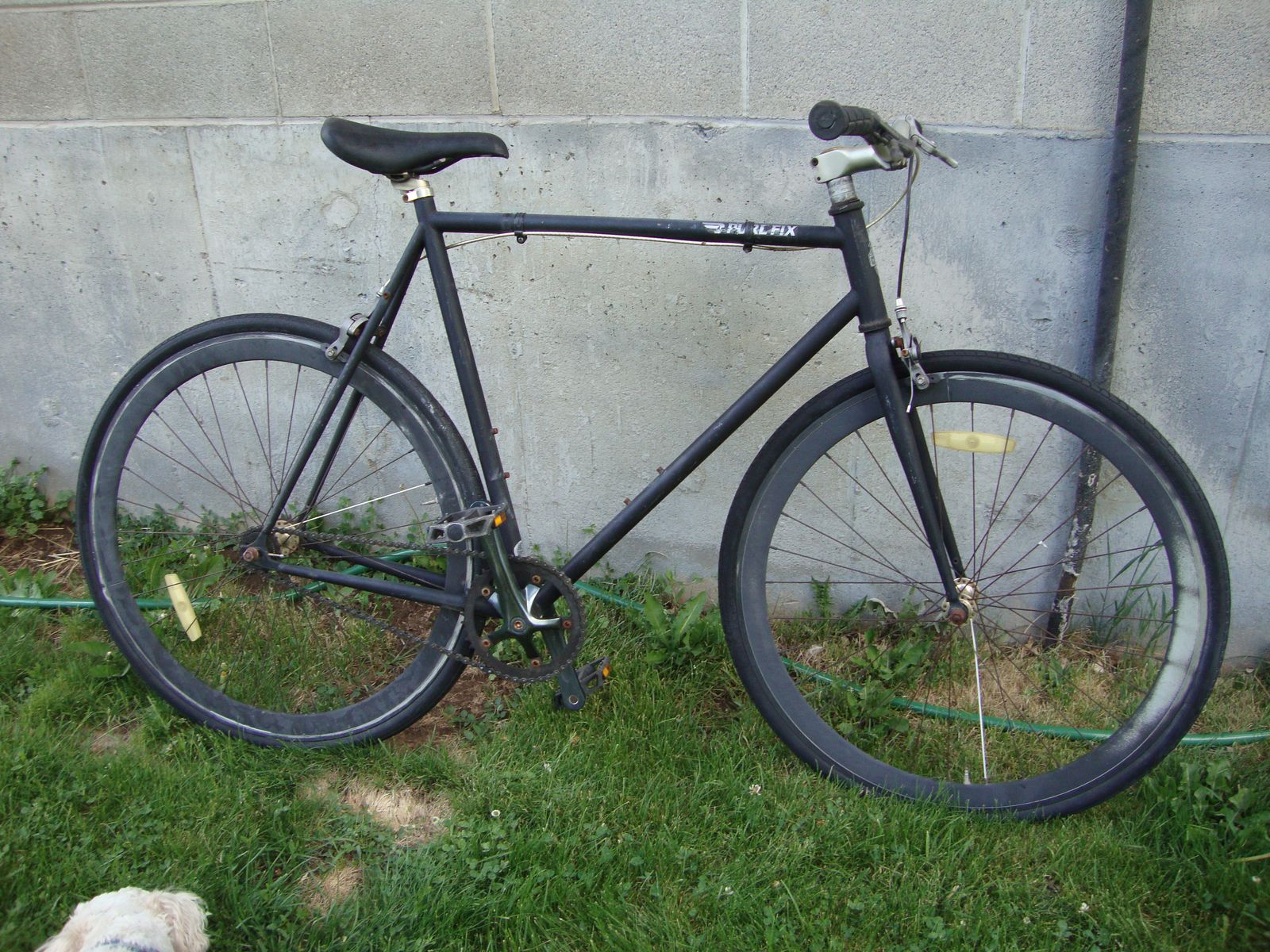 Pure Fix 28" Bicycle Black Single Speed Vintage  Good Tires