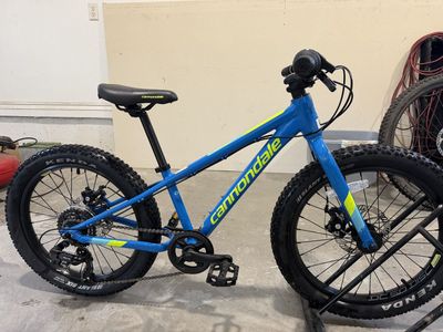 Cannondale Cujo 20