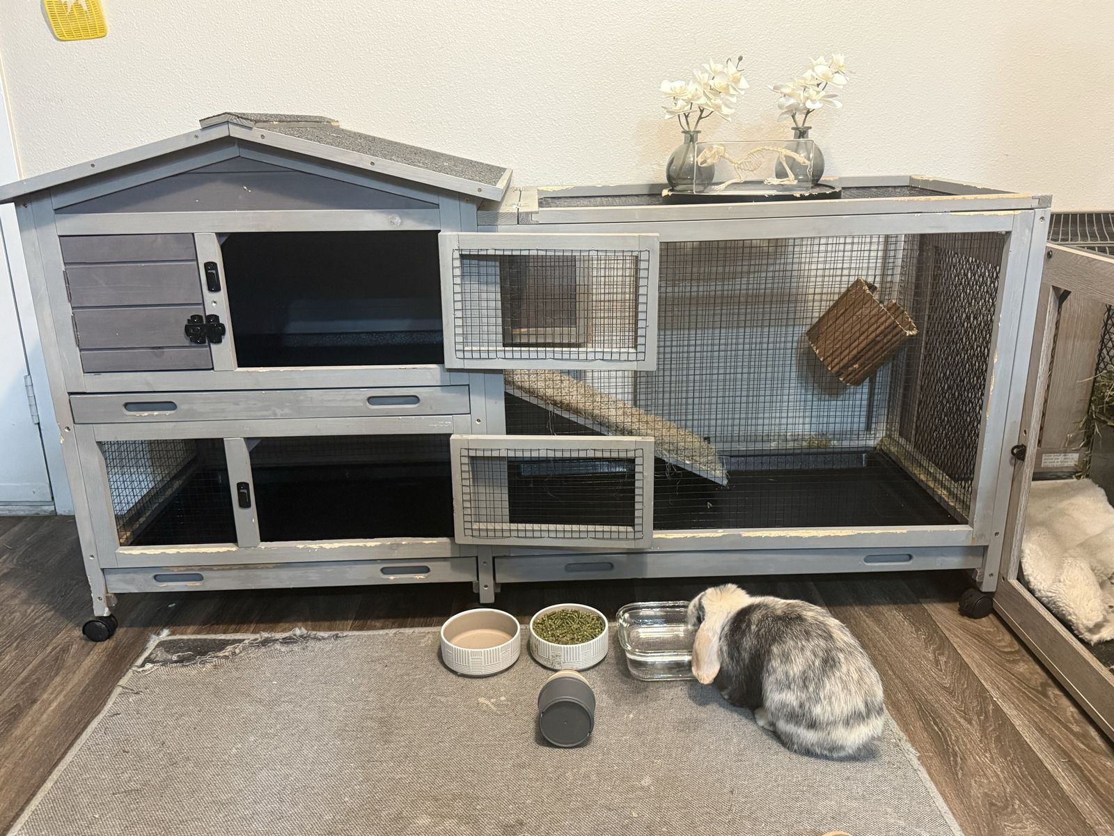 Bunny/Rabbit Hutch