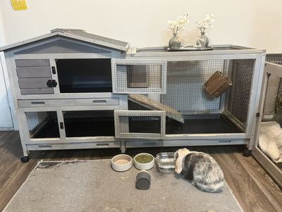 Bunny/Rabbit Hutch