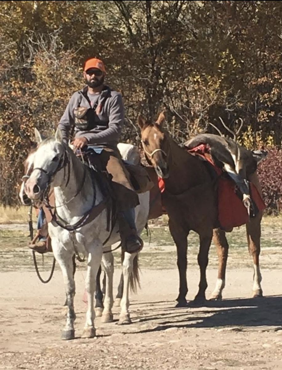 16-Year-Old Ranch Broke Grade Mare