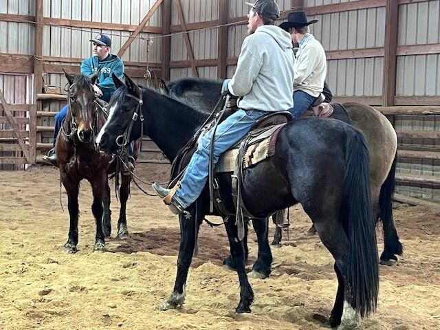 Beautiful Black Filly 3year old