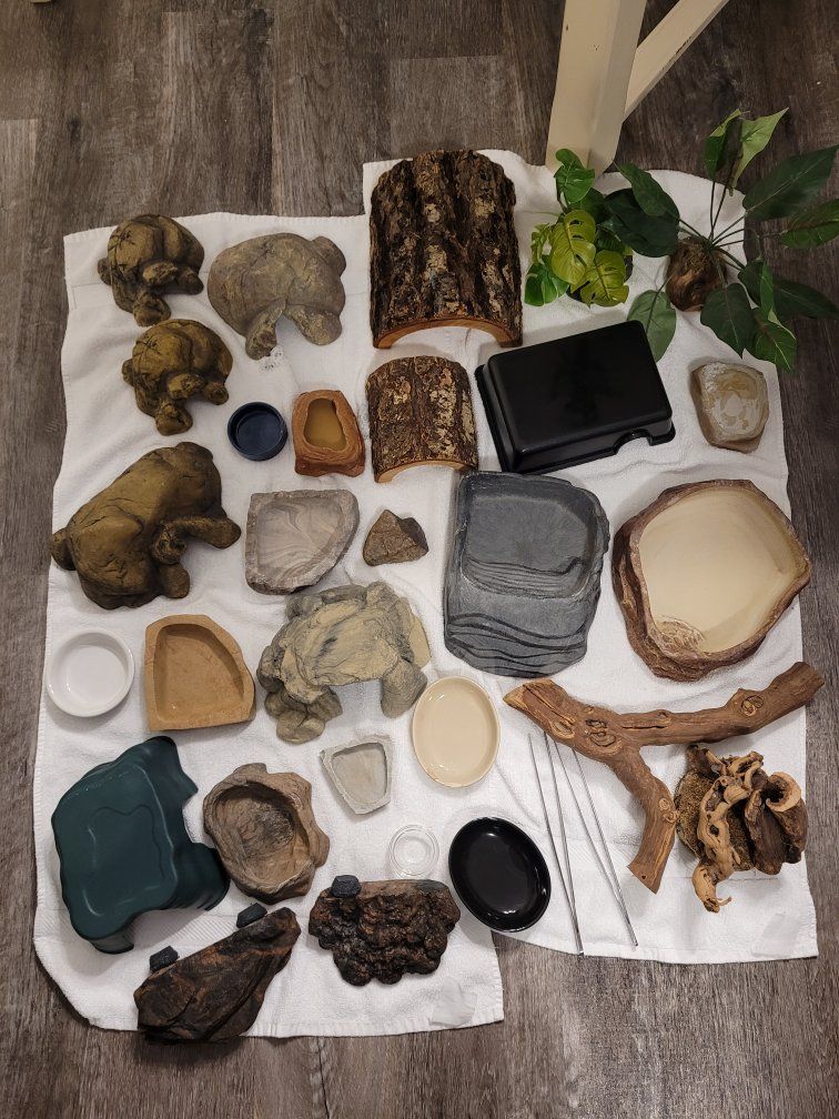 Reptile Supplies