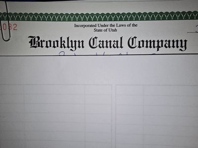 3 shares Brooklyn canal water