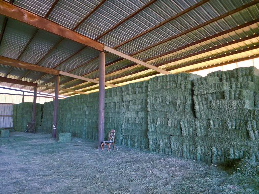 Grass Alfalfa Hay Mix