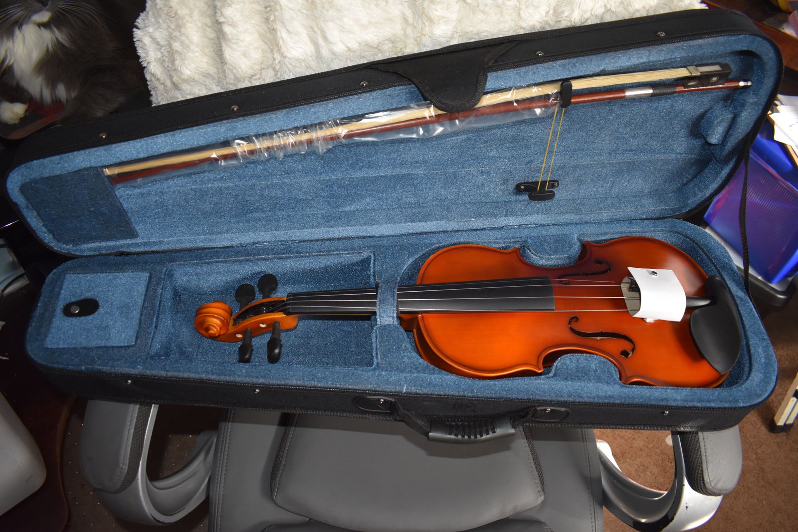 Schieffer Violin - full size