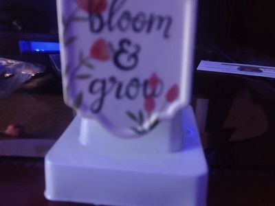 Decorative "Bloom & Grow" glade plug in