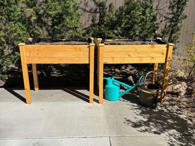 Raised Bed Boxes