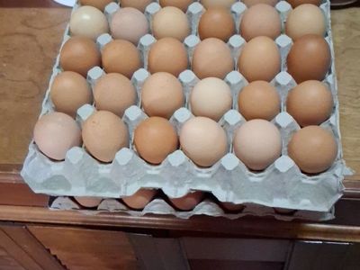 Farm fresh Eggs