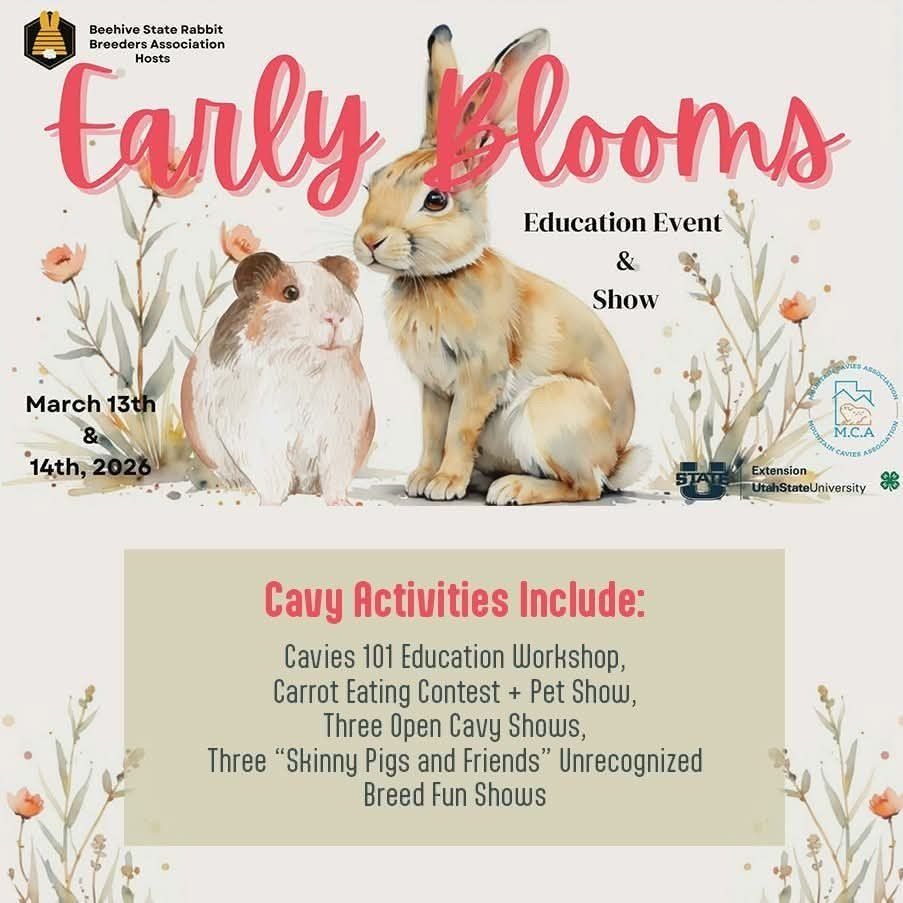 4H Educational Event - Rabbits and Cavies