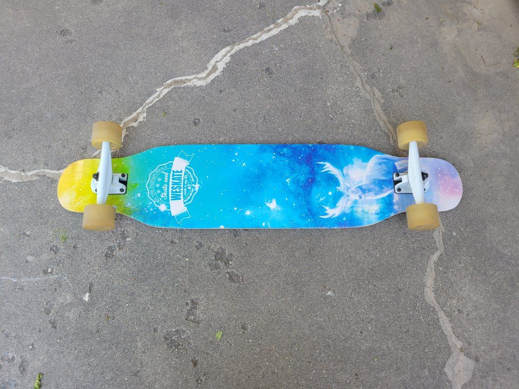 Longboard SkateBoard