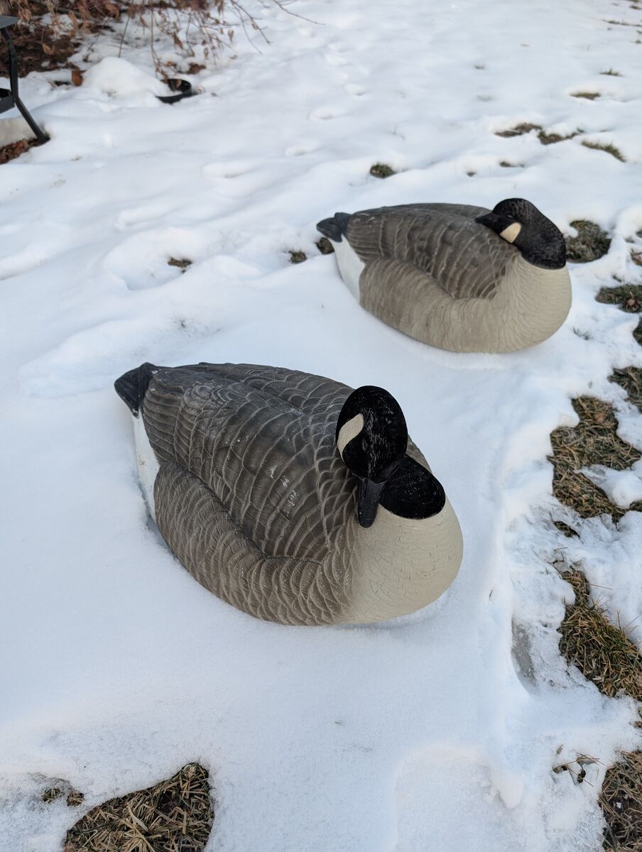 3 dozen Hardcore sleeper shells