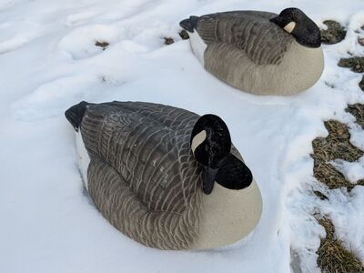 3 dozen Hardcore sleeper shells