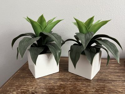 Pair of Small Artificial Green Plants in White Ceramic Planters - Home Decor