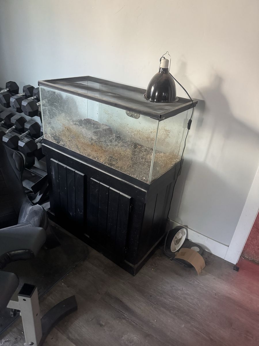 FREE - Large Glass Terrarium with Black Cabinet Stand and Heat Lamp - Perfect for Reptiles or Small Pets