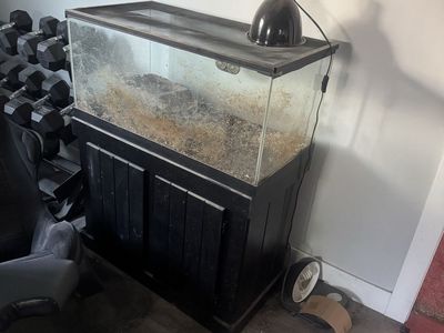 FREE - Large Glass Terrarium with Black Cabinet Stand and Heat Lamp - Perfect for Reptiles or Small Pets