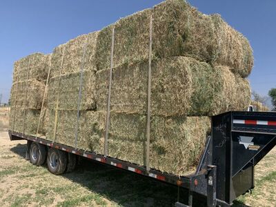 4 String Alfalfa Hay