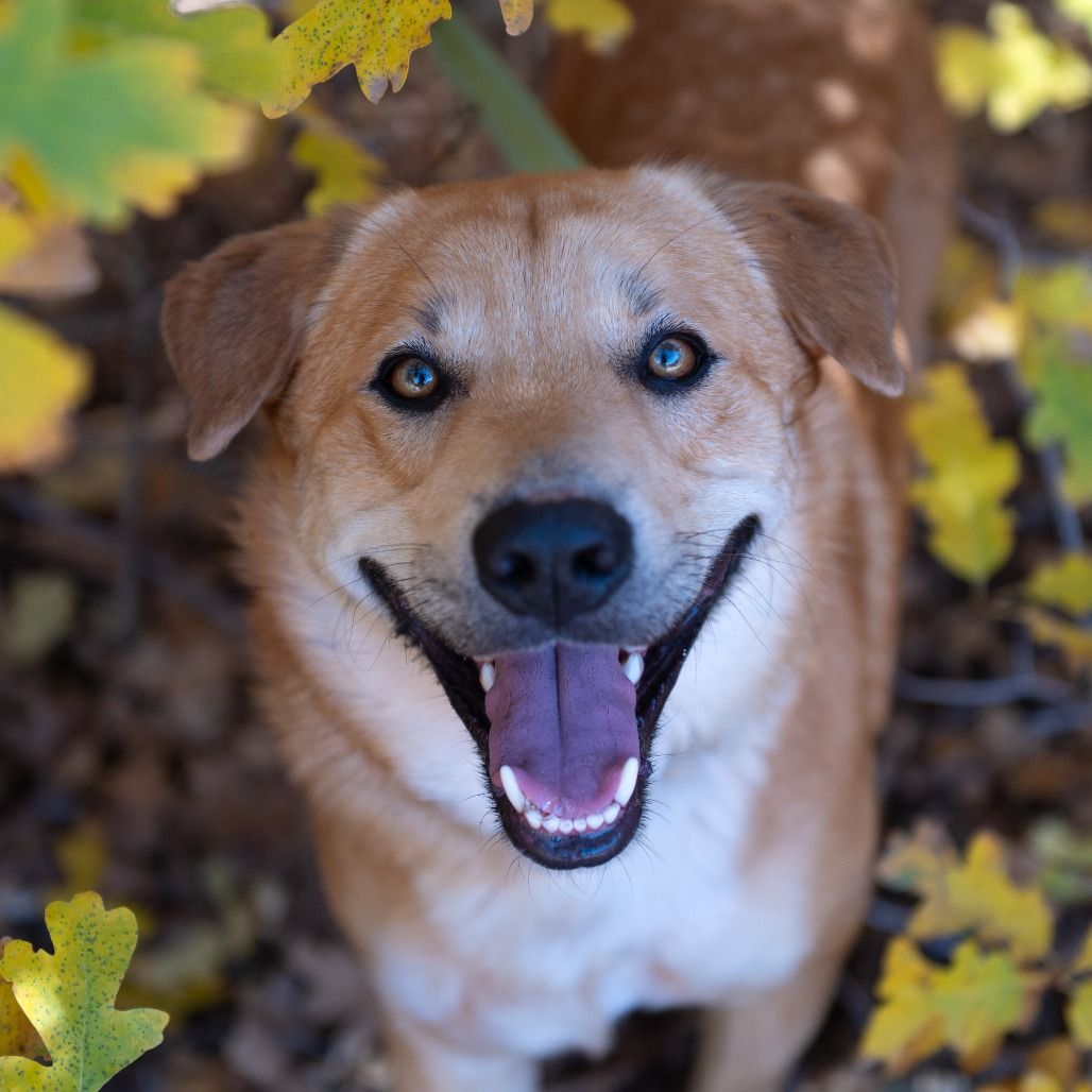 Hello my name is Newhart