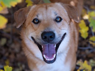 Hello my name is Newhart