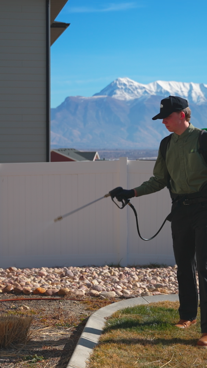$99 Spring Special! Eco-Friendly Pest Control Services