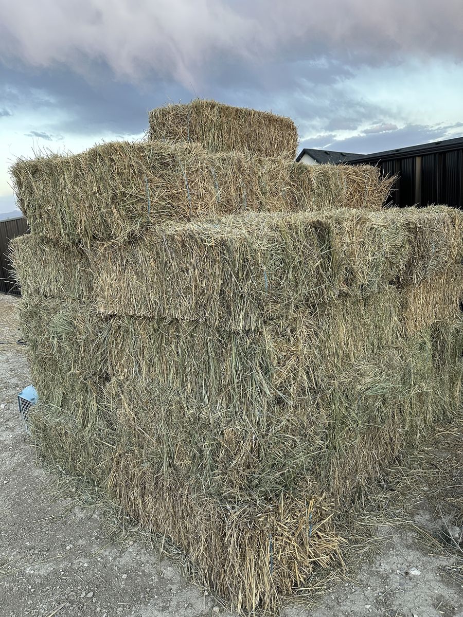 Quality Hay Bales for Livestock Feed or Landscaping - Large Stack Available