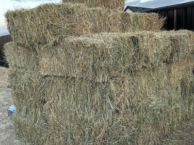 Quality Hay Bales for Livestock Feed or Landscaping - Large Stack Available