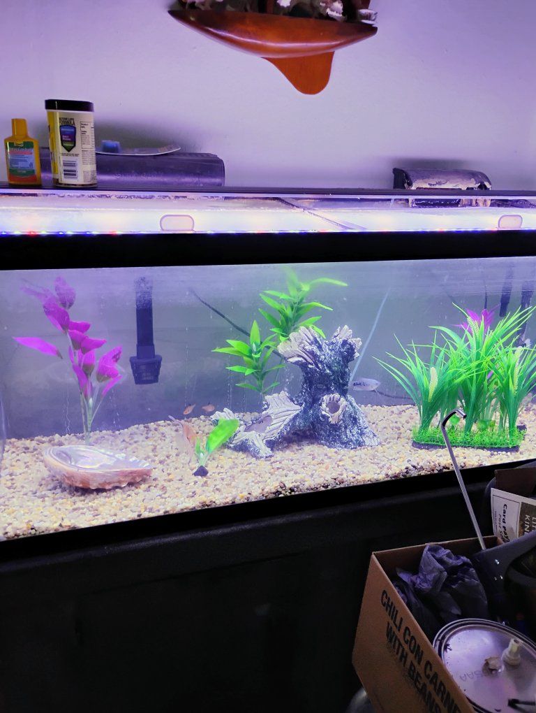 re-home your unwanted fish