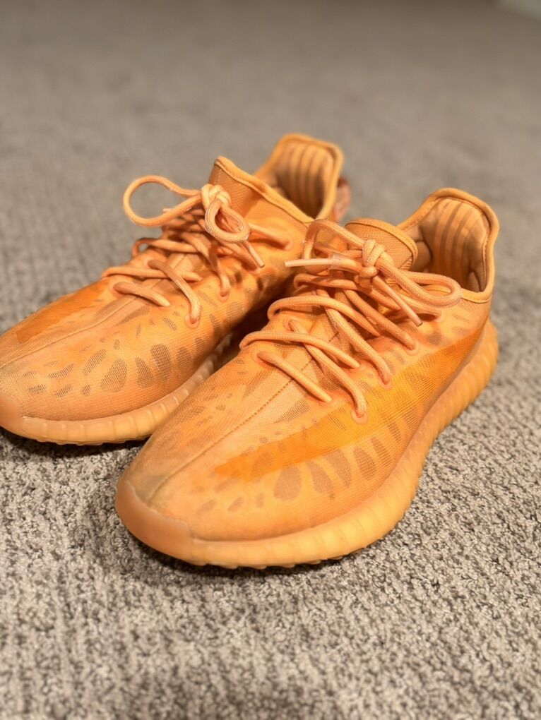 Adidas Yeezy Boost 350 V2 Mono Clay Sz 9