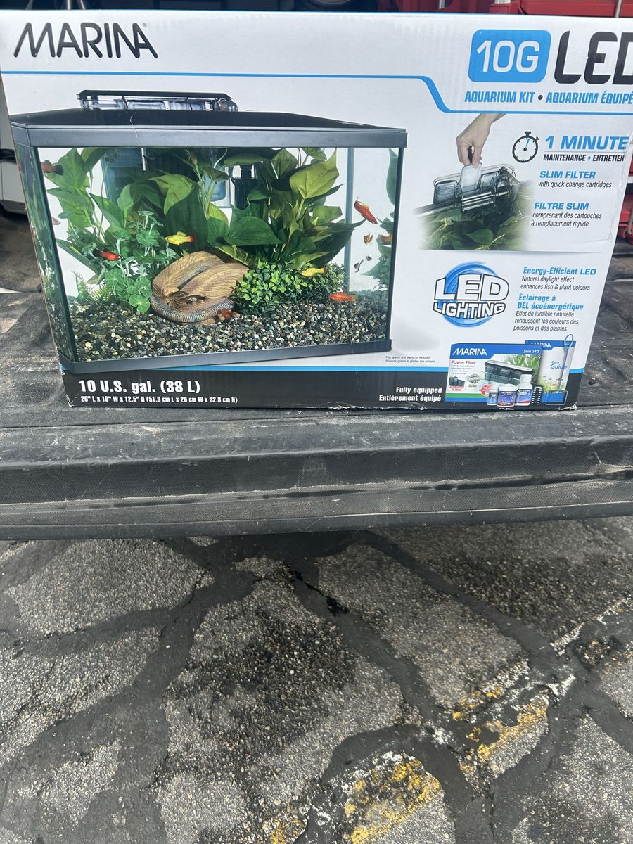 10 gallon aquarium