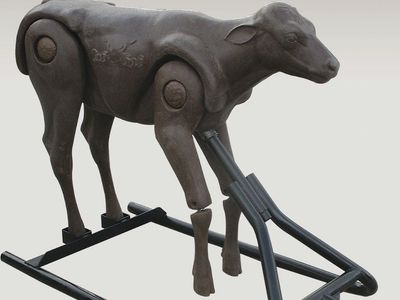 ISO Tuf Kaf or Perfect Calf