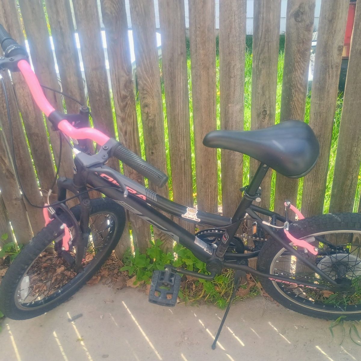 20 inch girls Mountain bike