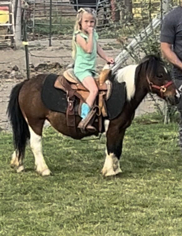 Kids Pony