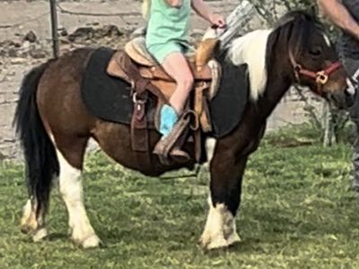 Kids Pony