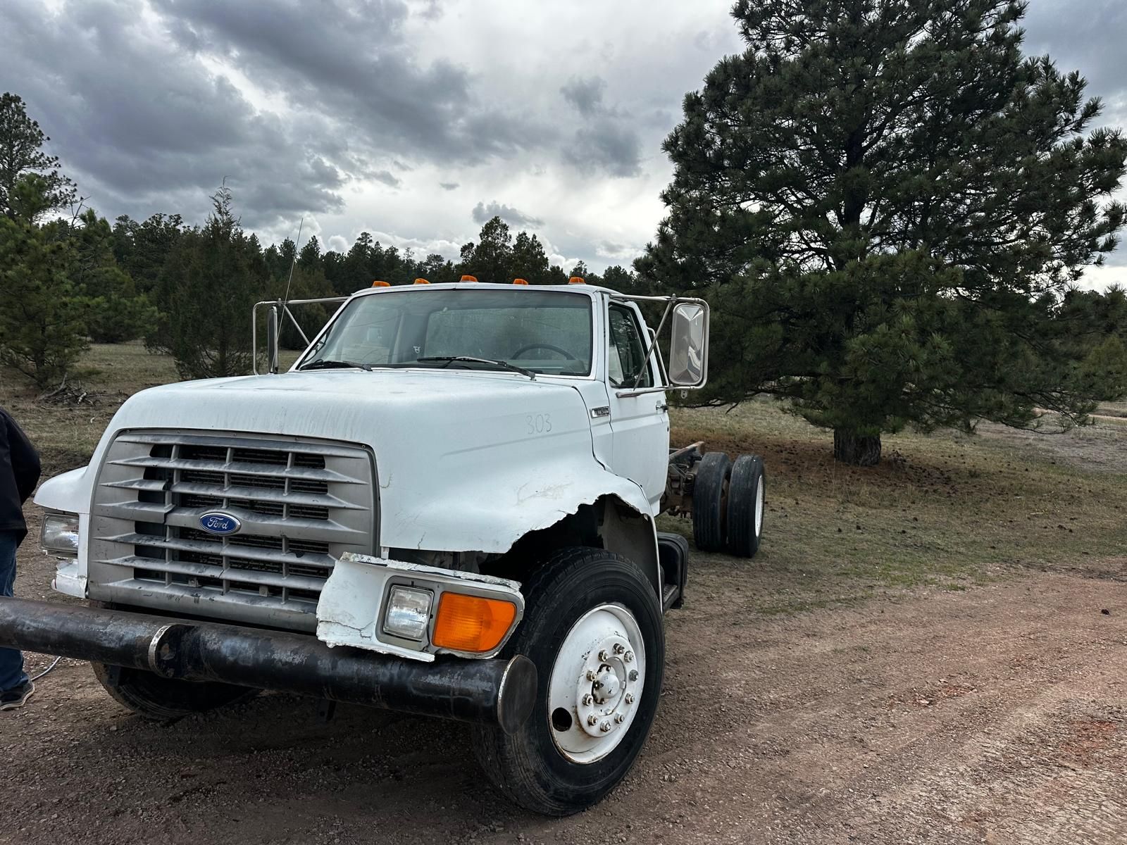 5.9   6 Cylinder Cummins Engine For Sale