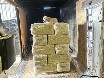 Bagged Pine Shavings