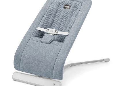 Chicco E-Motion Auto-Glider & Bouncer, Grey