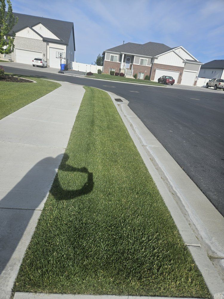 SOD! 3 large park strips full