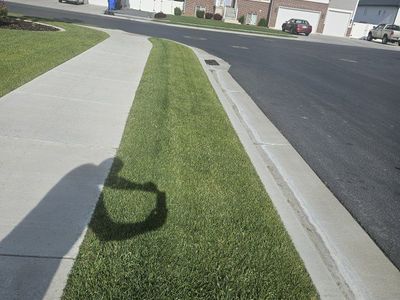 SOD! 3 large park strips full
