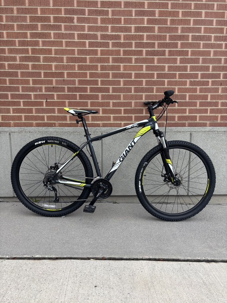 *FRESHLY SERVICED* Giant Mountain Bike - Large