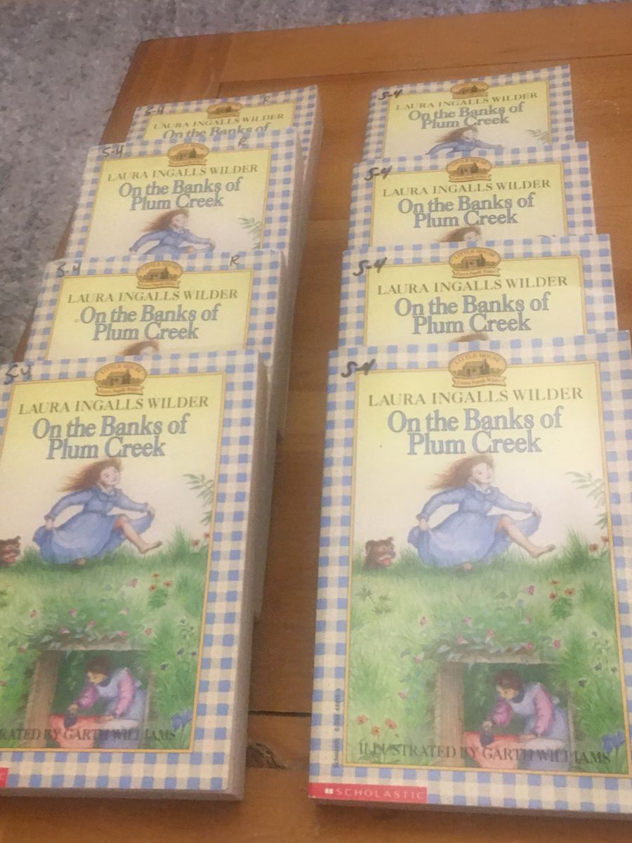 Chapter Books-Some New, Some Used